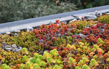 the cost of Lea Yeat green roof installation