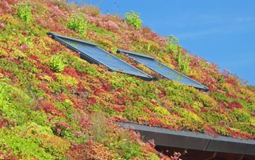 Lea Yeat living roof systems