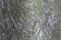 Lea Yeat fibreglass roof work